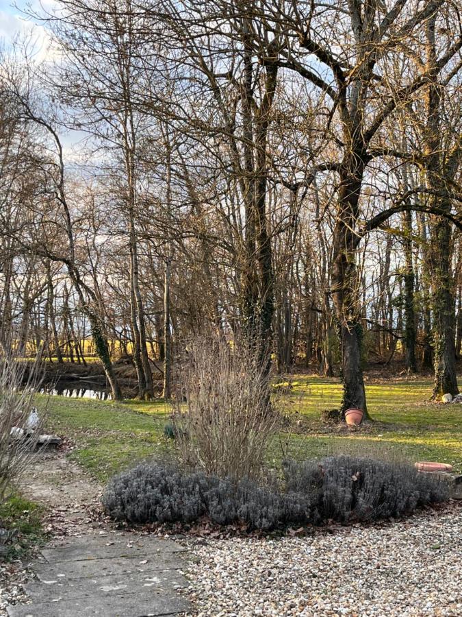 Nature Et Calme Leilighet La Chapelle-Saint-Sauveur  Eksteriør bilde